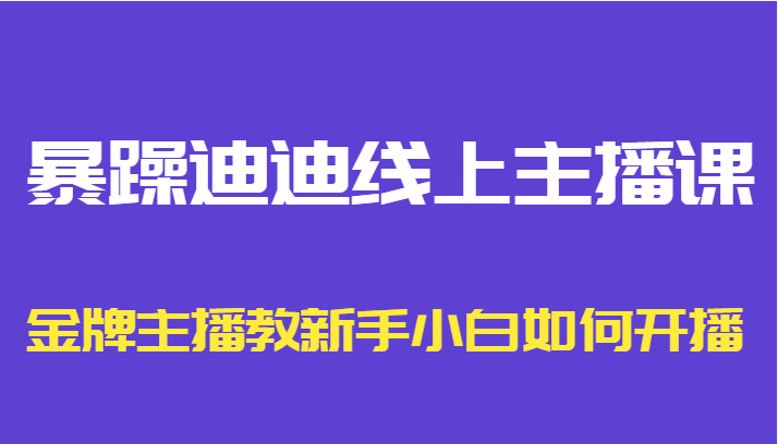 暴躁迪迪线上主播课，金牌主播教新手小白如何开播-16888副业资讯