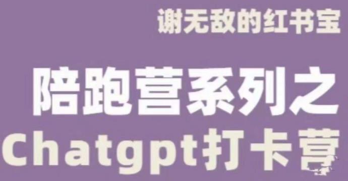 谢无敌ChatGPT打卡营，教你更好地使用ChatGPT来提高工作效率-16888副业资讯