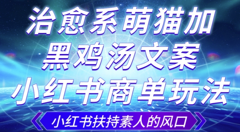治愈系萌猫加+黑鸡汤文案，小红书商单玩法，3~10天涨到1000粉，一单200左右-16888副业资讯